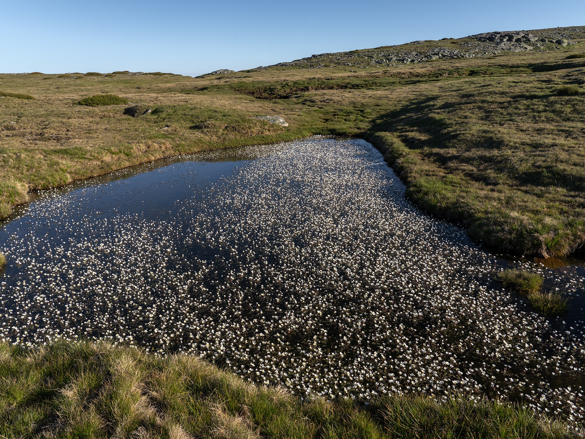 Carina Martins - Walden - Serra da Estrela