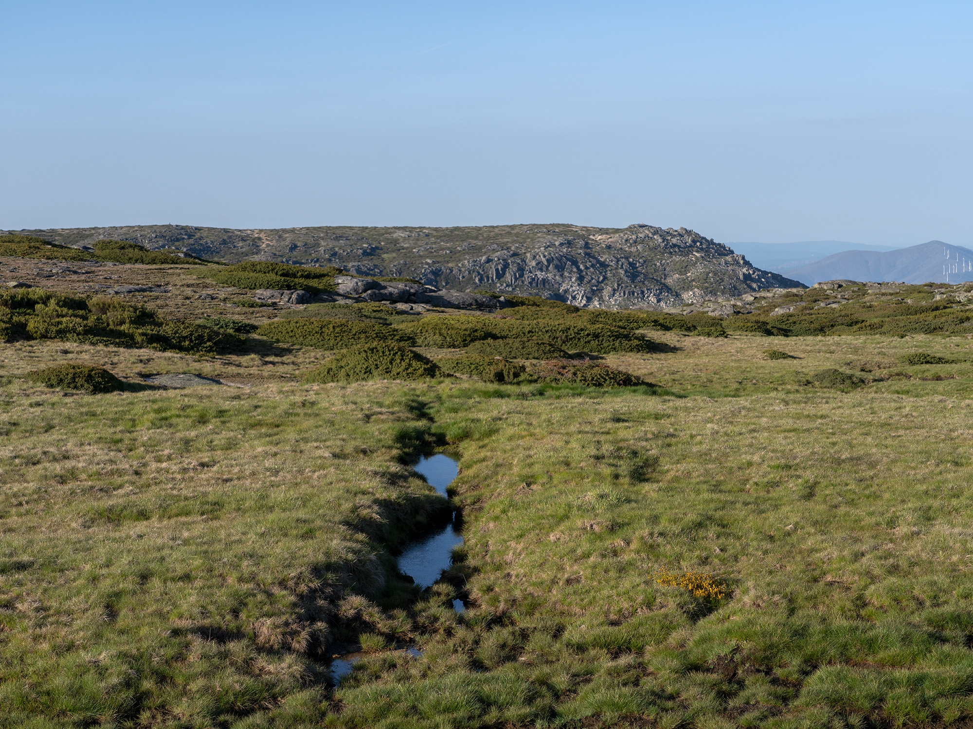Carina Martins - Walden - Serra da Estrela