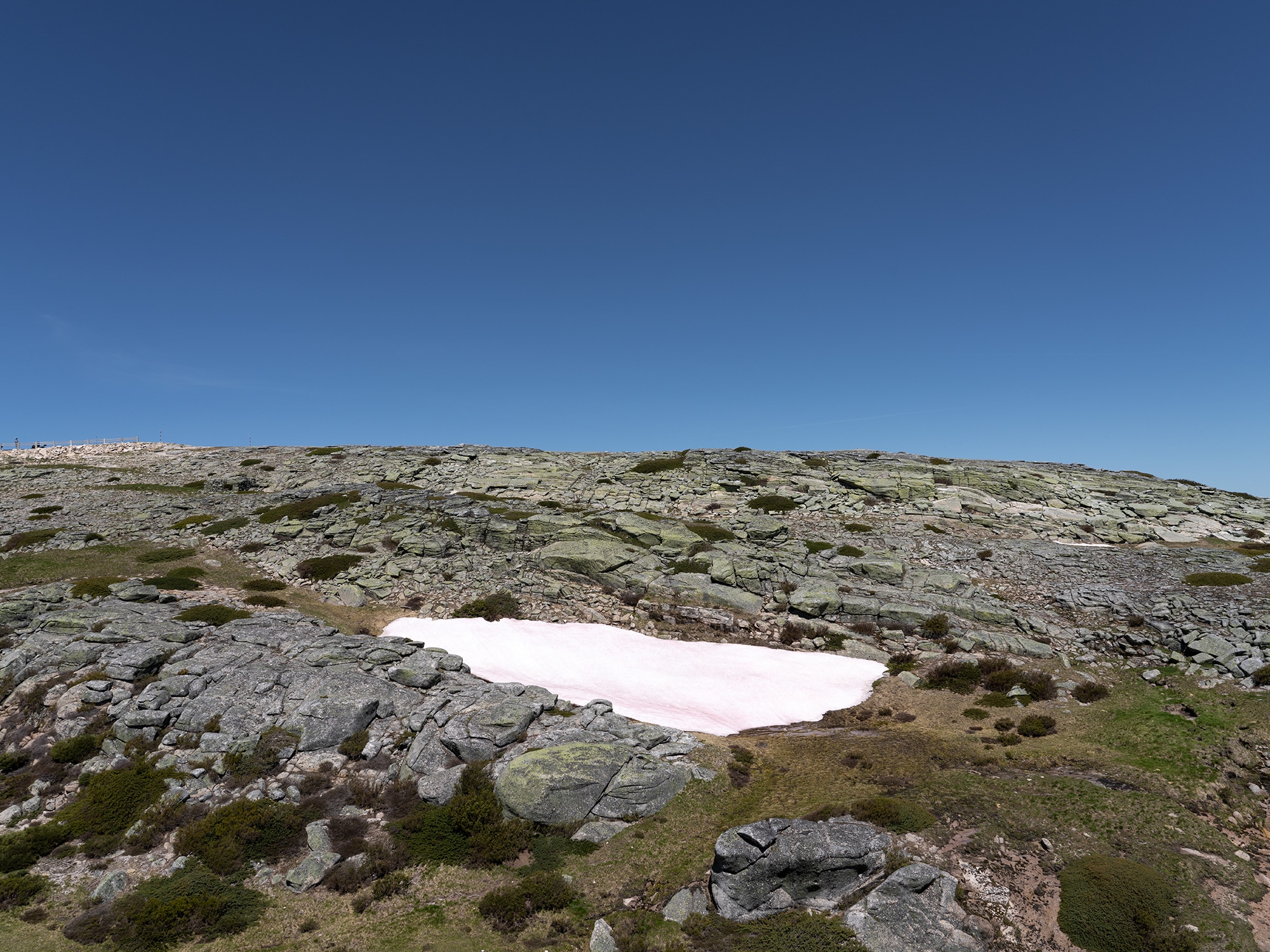 Carina Martins - Walden - Serra da Estrela