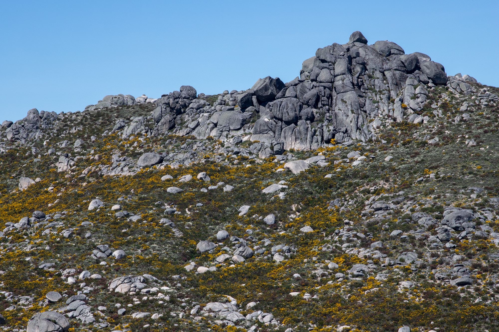Carina Martins - Walden - Serra da Estrela