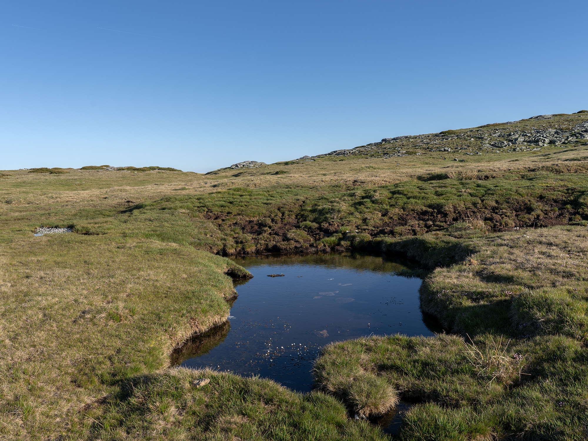 Carina Martins - Walden - Serra da Estrela