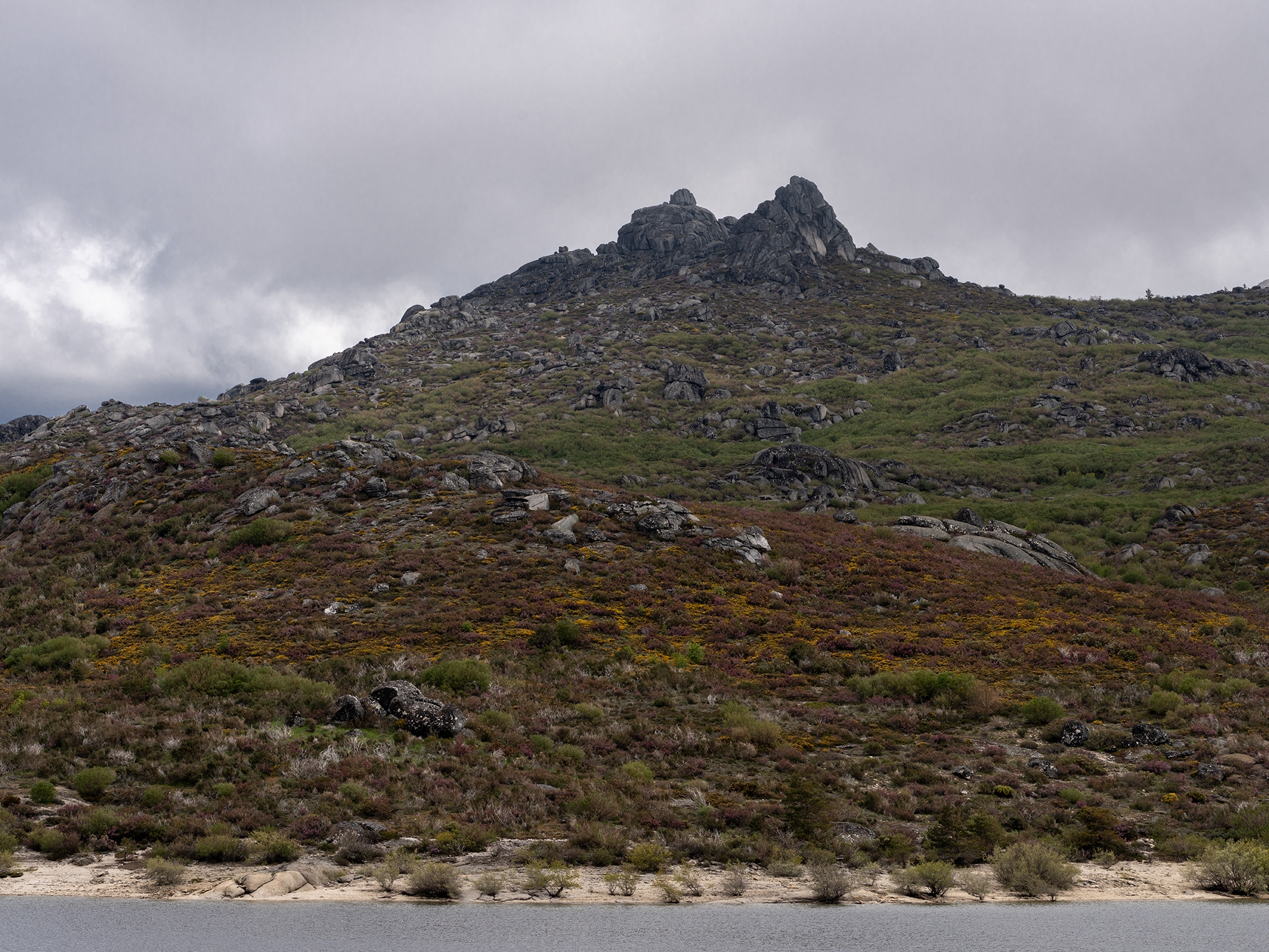 Carina Martins - Walden - Serra da Estrela